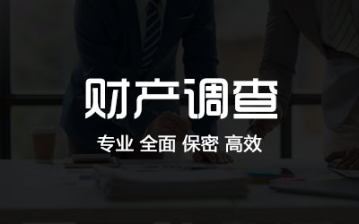 盘锦财产调查